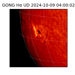 gong - 2024-10-09T04:00:02