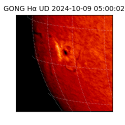 gong - 2024-10-09T05:00:02