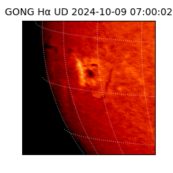 gong - 2024-10-09T07:00:02