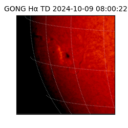 gong - 2024-10-09T08:00:22