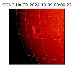 gong - 2024-10-09T09:00:22