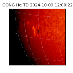 gong - 2024-10-09T12:00:22