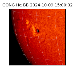 gong - 2024-10-09T15:00:02