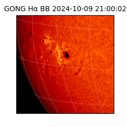 gong - 2024-10-09T21:00:02