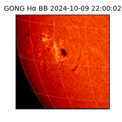 gong - 2024-10-09T22:00:02