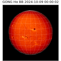 gong - 2024-10-09T00:00:02