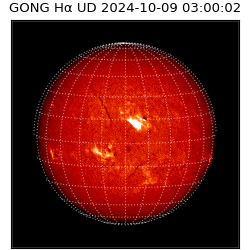 gong - 2024-10-09T03:00:02