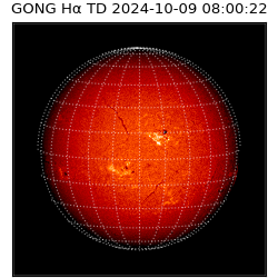 gong - 2024-10-09T08:00:22