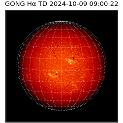 gong - 2024-10-09T09:00:22