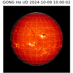 gong - 2024-10-09T10:00:02