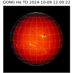 gong - 2024-10-09T12:00:22