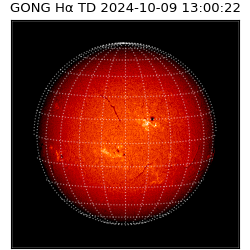 gong - 2024-10-09T13:00:22