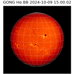 gong - 2024-10-09T15:00:02