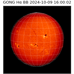 gong - 2024-10-09T16:00:02