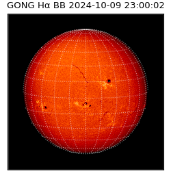 gong - 2024-10-09T23:00:02