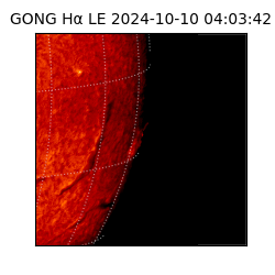 gong - 2024-10-10T04:03:42