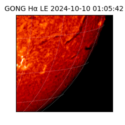 gong - 2024-10-10T01:05:42