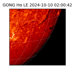 gong - 2024-10-10T02:00:42