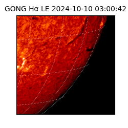 gong - 2024-10-10T03:00:42
