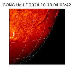 gong - 2024-10-10T04:03:42