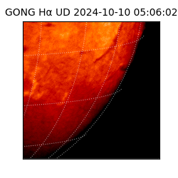 gong - 2024-10-10T05:06:02
