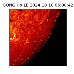 gong - 2024-10-10T06:00:42
