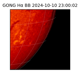 gong - 2024-10-10T23:00:02