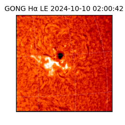 gong - 2024-10-10T02:00:42