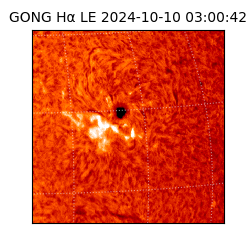 gong - 2024-10-10T03:00:42