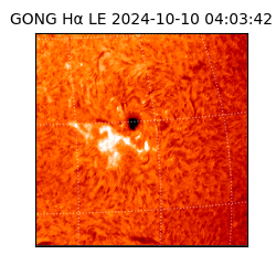 gong - 2024-10-10T04:03:42