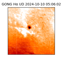 gong - 2024-10-10T05:06:02