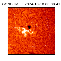 gong - 2024-10-10T06:00:42