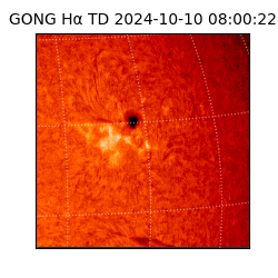 gong - 2024-10-10T08:00:22