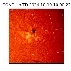 gong - 2024-10-10T10:00:22