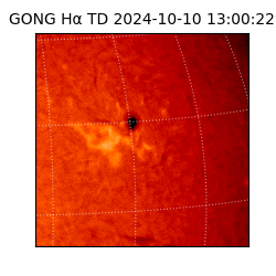 gong - 2024-10-10T13:00:22