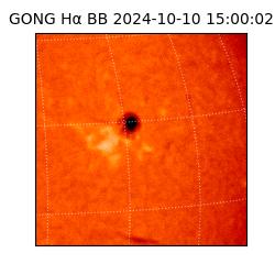 gong - 2024-10-10T15:00:02