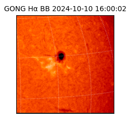 gong - 2024-10-10T16:00:02