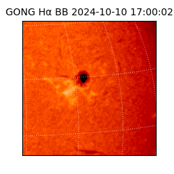 gong - 2024-10-10T17:00:02