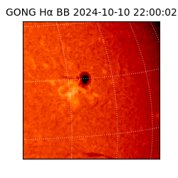 gong - 2024-10-10T22:00:02