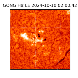 gong - 2024-10-10T02:00:42