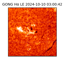 gong - 2024-10-10T03:00:42