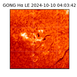 gong - 2024-10-10T04:03:42