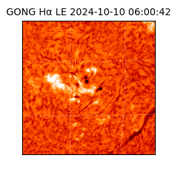 gong - 2024-10-10T06:00:42