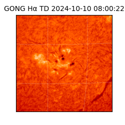 gong - 2024-10-10T08:00:22