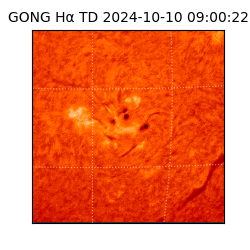 gong - 2024-10-10T09:00:22