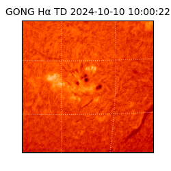 gong - 2024-10-10T10:00:22