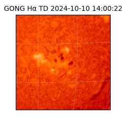 gong - 2024-10-10T14:00:22