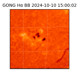 gong - 2024-10-10T15:00:02