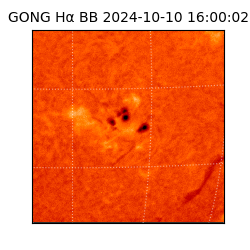 gong - 2024-10-10T16:00:02