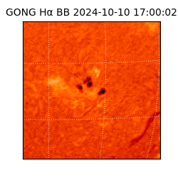 gong - 2024-10-10T17:00:02